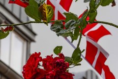 Rote-Strasse-18
