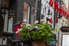 Rote-Strasse-20