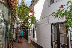 Krusehof_02_Rote-Rosen-Querformat-Totale