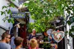 Krusehof_03_Rote-Rosen