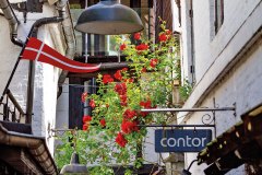 Krusehof_05_Rote-Rosen-Querformat