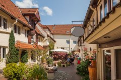 Sonnenhof-05-Blick-Richtung-Strasse