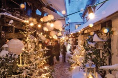 RS-02-Schnee-Krusehof